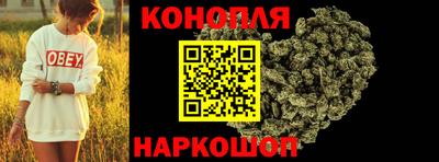 сатива Лесосибирск