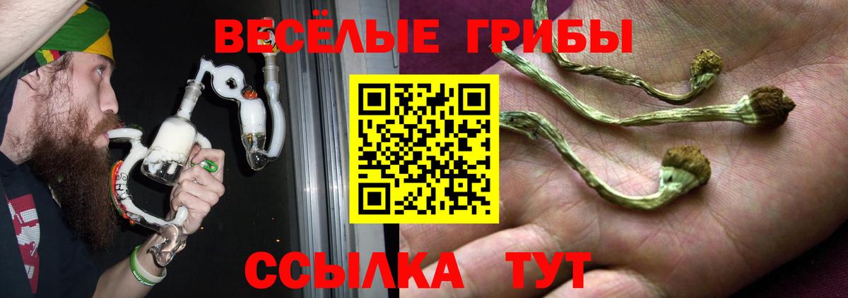 Галлюциногенные грибы Psilocybine cubensis Уварово